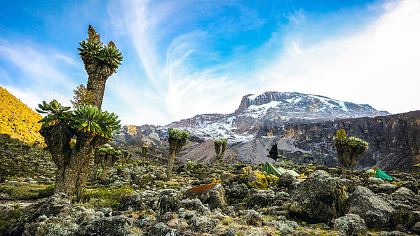 Baranco Hut Camp shutterstock_1061646038