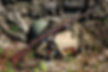 PSX_20230620_142202.jpg