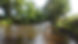 e21a472b-9be0-4d5d-b185-99e6db636338_edited_edited.jpg