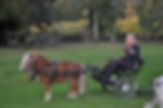 Therapeutisches Reiten Reittherapie