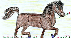 Therapeutisches Reiten und Kinder Reittherapie Bonn