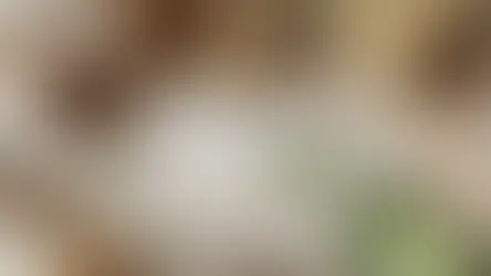 2026 包裝設計趨勢示意圖 - 簡約永續材質與智能包裝組合