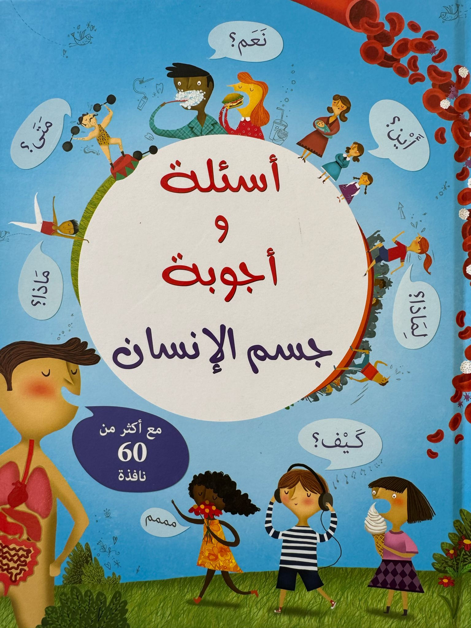 שאלות ותשובות - גוף האדם