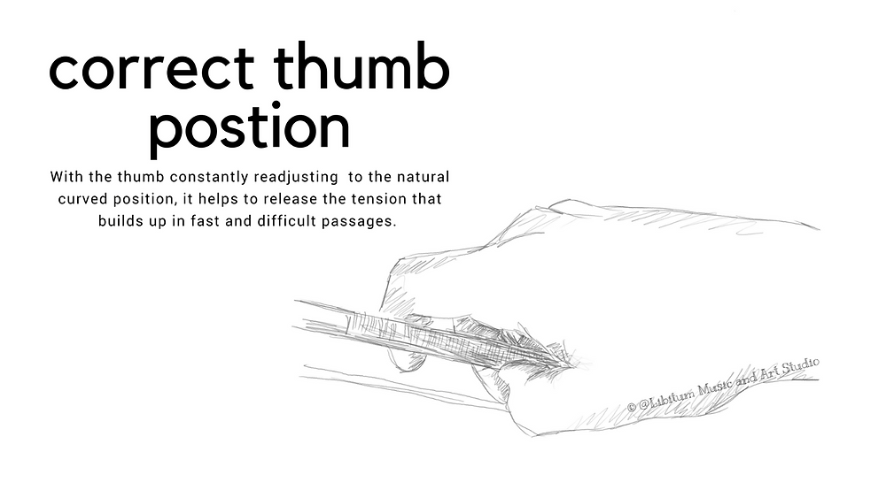 Violin bow hand (correct thumb position)