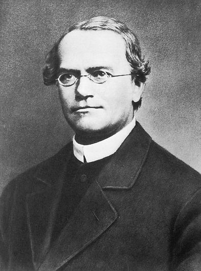 Gregor_Mendel_21.jpg
