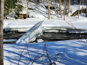 ASC Trail Update - March 6, 2026