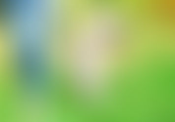 Tippek a háziállatok fényképezéséhez kezdőknek