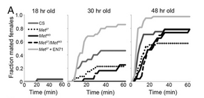 The science behind sex-crazed teenagers