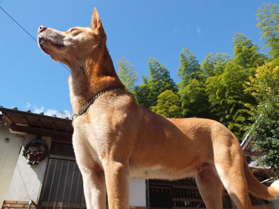 2015年10月号掲載