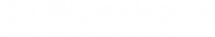 BlackVault Studio LOGO