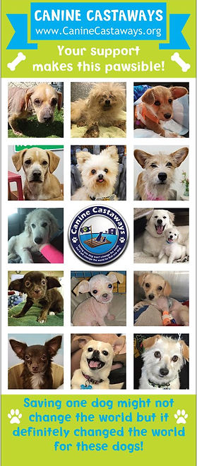 preview retractable banner.jpg