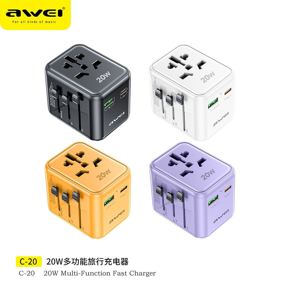 Travel Charger C-20