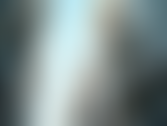 Comprehensive Guide to Property Management Services Overview