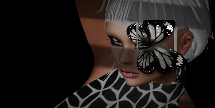 ButterflySolo