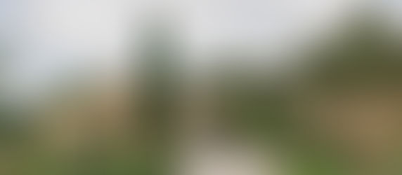 Provence or French Riviera for Your Wedding? | Your Eco Story