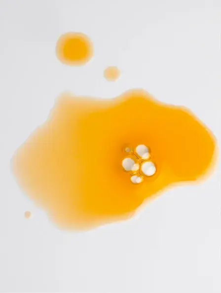 Miniaturbild: NOURISHING OIL SERUM