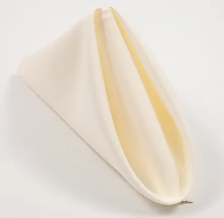 NAPKINIVORY_001.jpg.webp