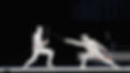 fencing%20masters__edited.jpg