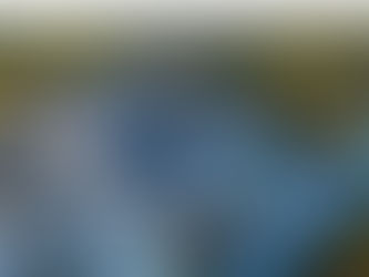 GRAND OPENING: Shore Cycle & Marine