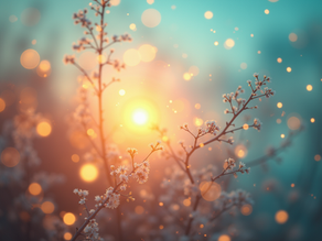 Life Updates: New Content, New Opportunities, and Moving Forward