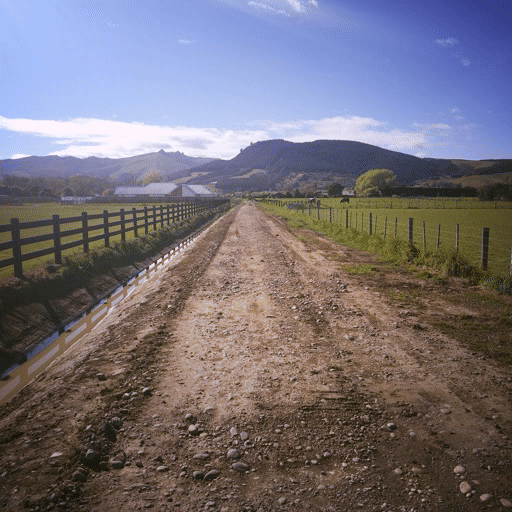 Life is like a journey! Everyone has ups and downs, but some people have more bumps in the road than others.