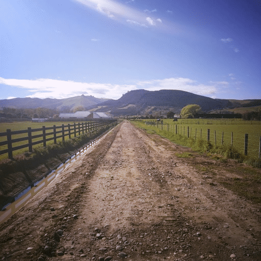 Life is like a journey! Everyone has ups and downs, but some people have more bumps in the road than others.