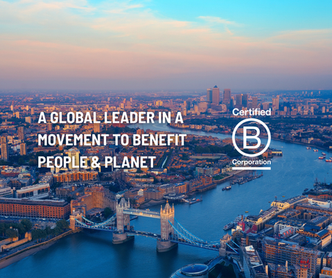 Our B Corp Report is Now Live! 