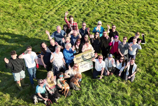 Hive Wood Tree Planting: Our Story in 4 Films