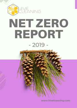 Net Zero 2019.png