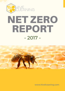 Net Zero 2017.png