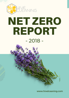 Net Zero 2018.png