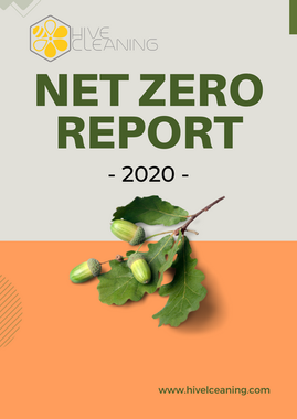 Net Zero 2020