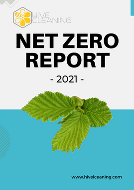 Net Zero 2021