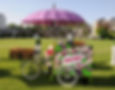 Bougain purple pink Bali Umbrella
