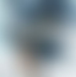 Review: "Shackleton - Antarctic Odyssey," by Nick Bertozzi