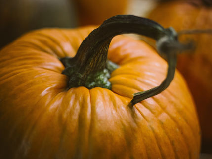 The Halloween Project Day 15: The Carving