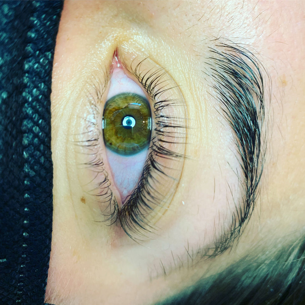 826F135C-9FF0-41B0-AFCB-028EF801F2AF