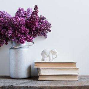 A Virtual Interior Decorator Will Be your New Best Friend; Her words, Not ours