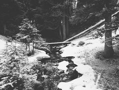 Verschneite Wildnis mit Bachlauf – Natur im Kontrast zur Realität von Krisensituationen.