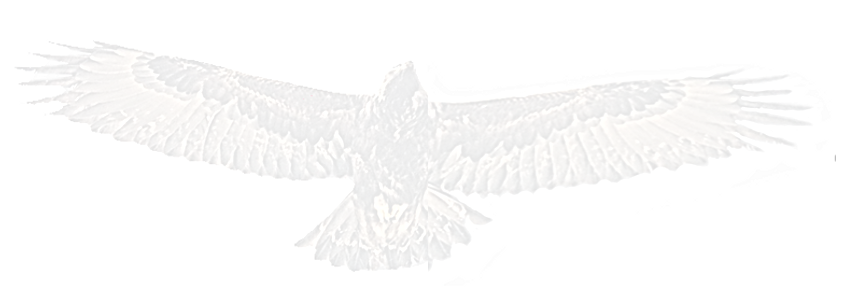 GOD EAGLE_edited.png