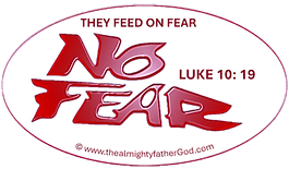 NF TRANS_edited_edited.png
