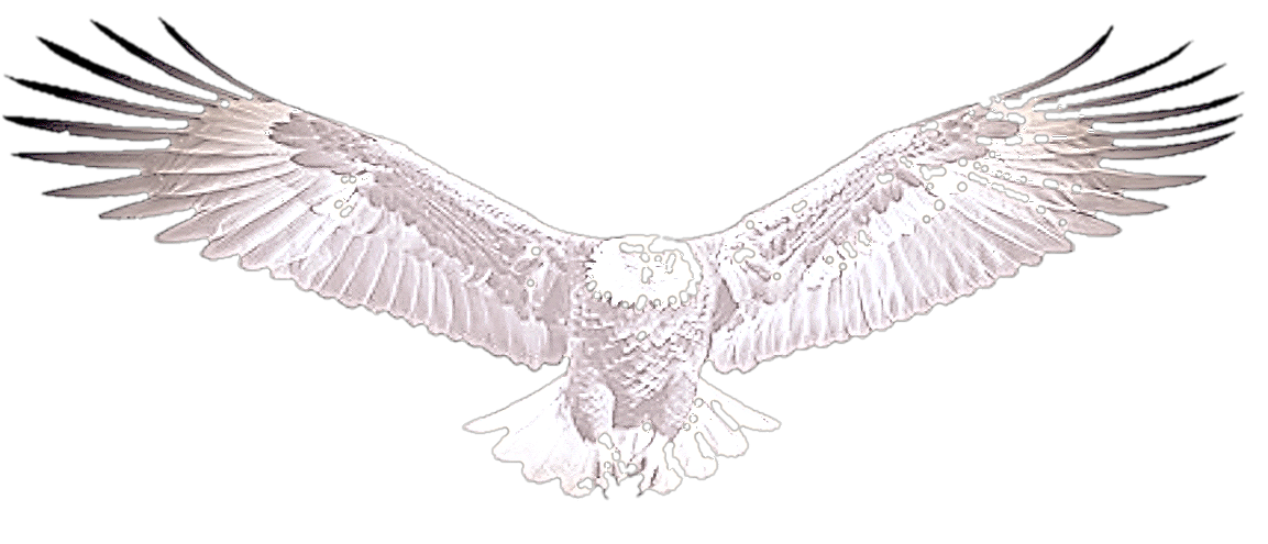 EAGLE OF GOD MAIN_edited_edited_edited.p
