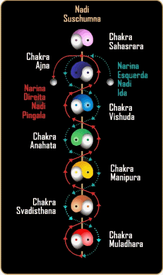 Movimento dos Chakras