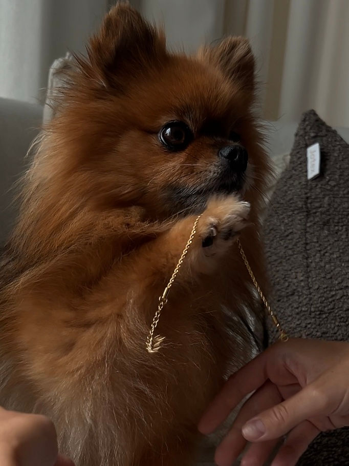 Thumbnail: ROPE BRACELET