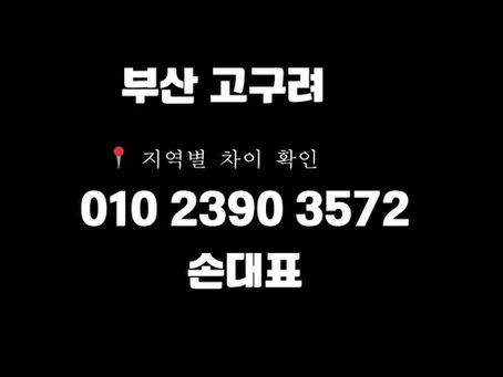 💡 이번 주 핫한 해운대고구려 후기 – 손대표 정찰제 시스템 실화인가요?