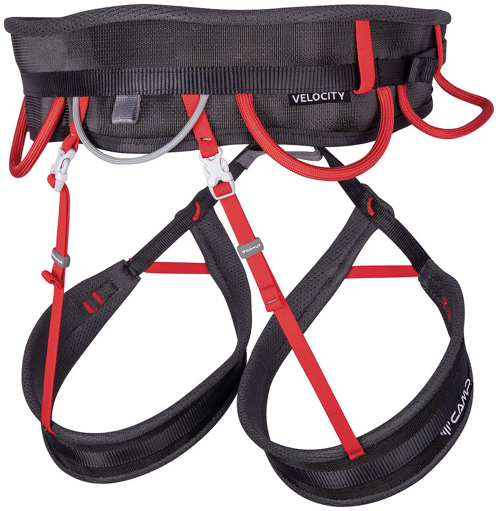 Baudrier VELOCITY CAMP - derrière