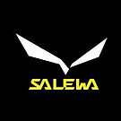Logo Salewa