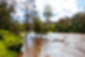 flood and Fire forsight disaster prediction management