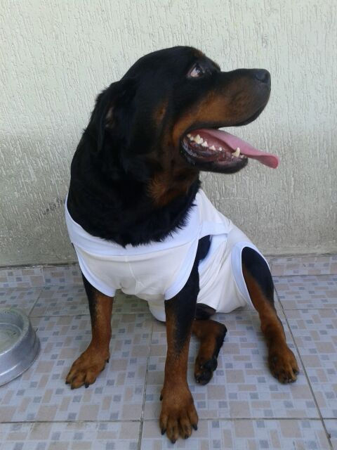 RPC Macho - Tamanho 14