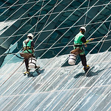 Window Cleaners